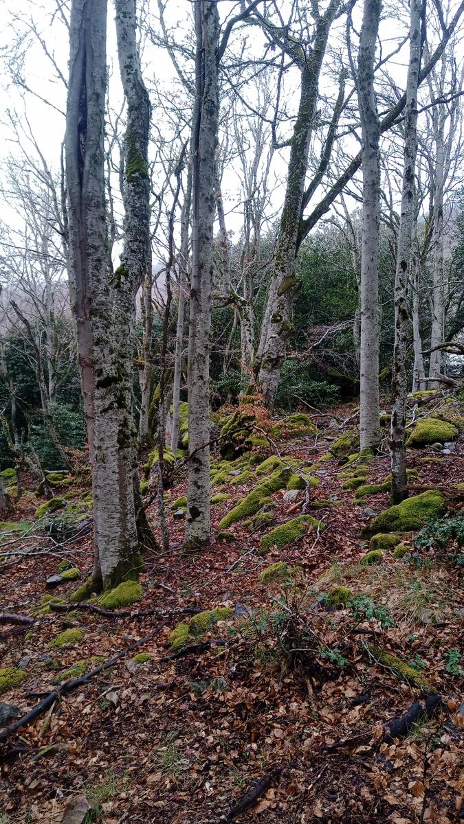 Click para acceder a las fotos de la ruta