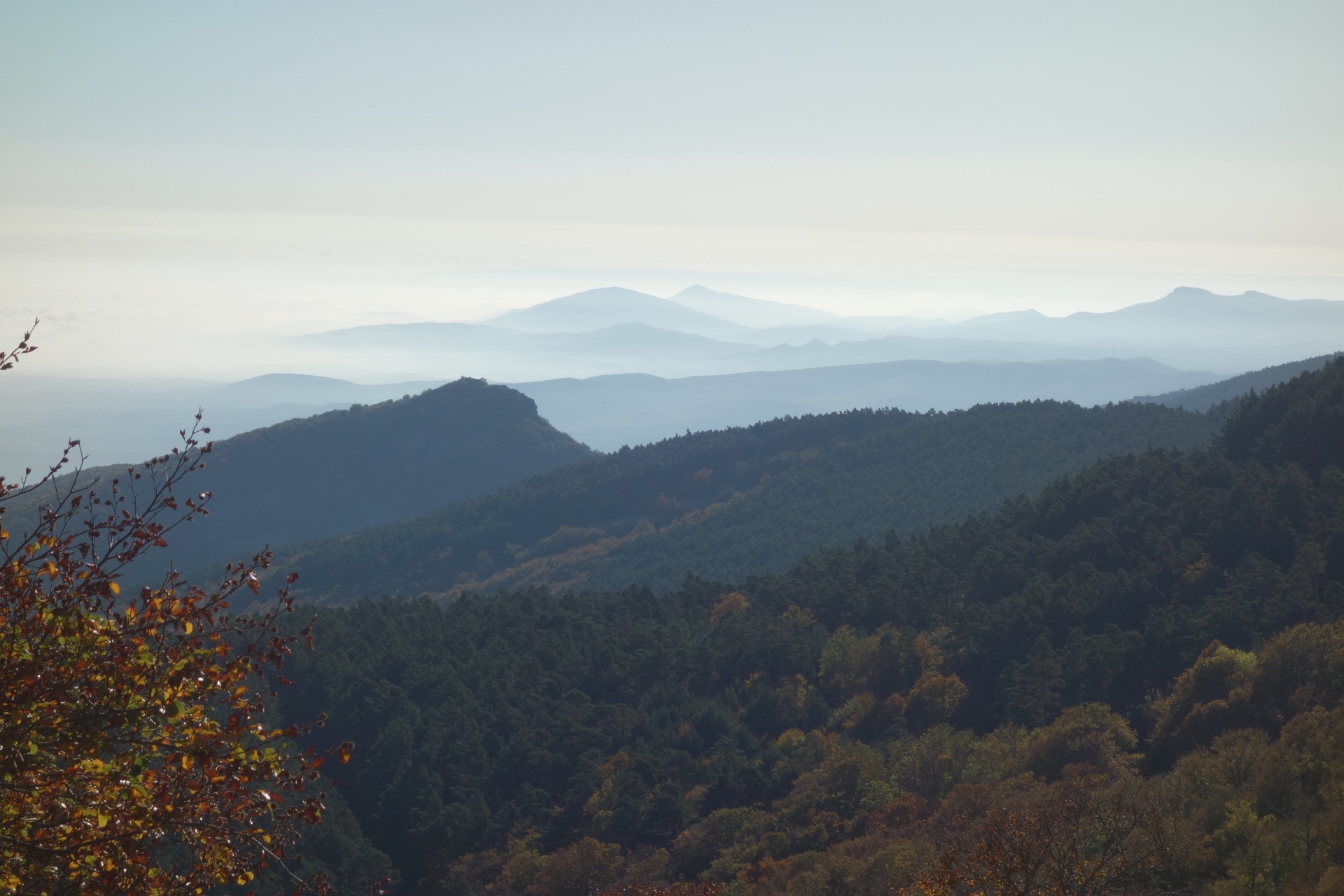 Fte.Frailes-Col.Castilla-CuevaAgreda (Octubre 2025)