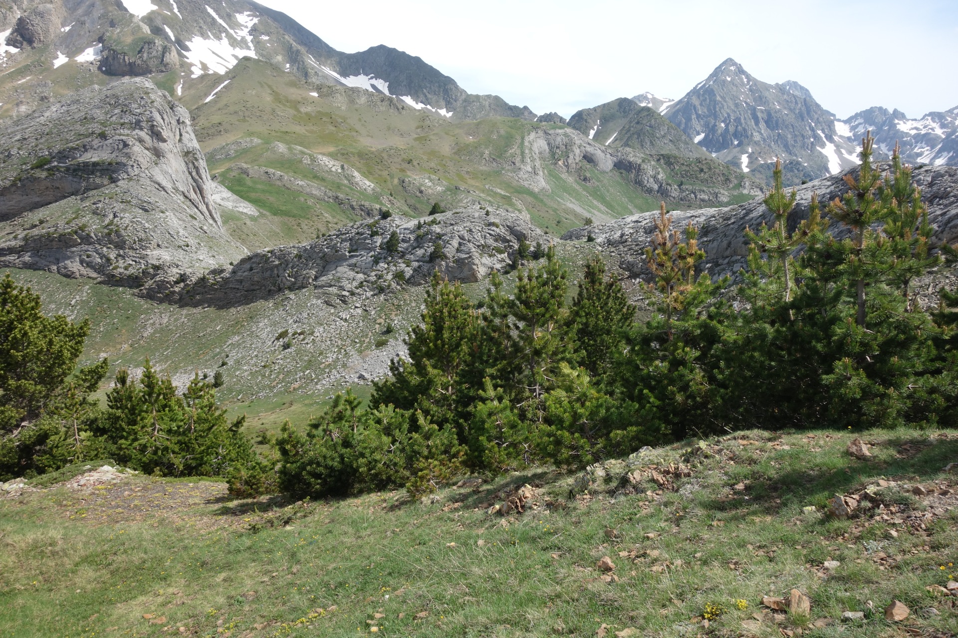 Formigal-Forato-La Laña-Sallent (Junio 2026)
